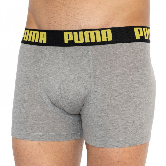 2PACK Мъжки боксерки Puma многоцветен (501009001 020)