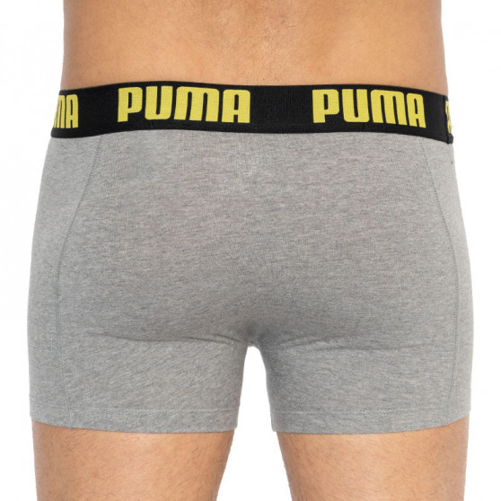 2PACK Мъжки боксерки Puma многоцветен (501009001 020)