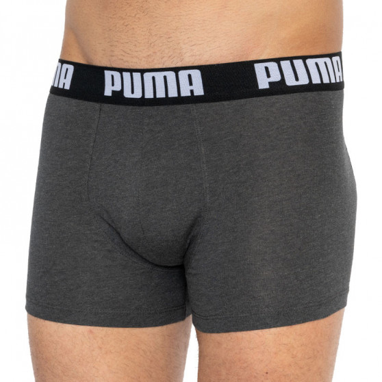 2PACK Мъжки боксерки Puma многоцветен (501009001 200)