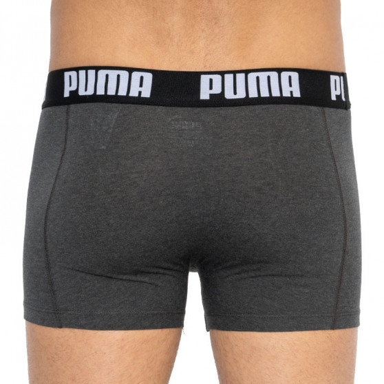 2PACK Мъжки боксерки Puma многоцветен (501009001 200)