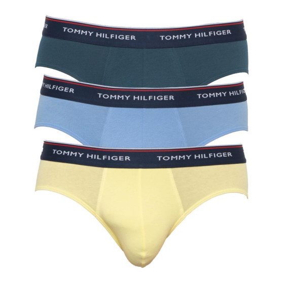 3PACK Мъжки слипове Tommy Hilfiger многоцветен (1U87903766 0RV)