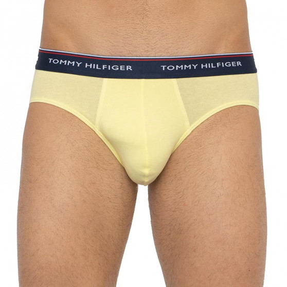 3PACK Мъжки слипове Tommy Hilfiger многоцветен (1U87903766 0RV)