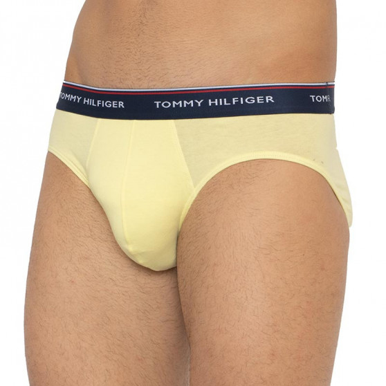 3PACK Мъжки слипове Tommy Hilfiger многоцветен (1U87903766 0RV)