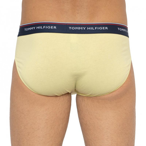 3PACK Мъжки слипове Tommy Hilfiger многоцветен (1U87903766 0RV)