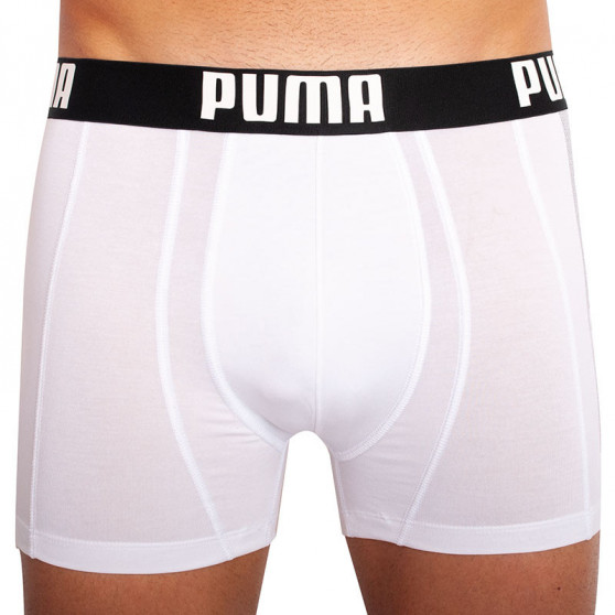 2PACK Мъжки боксерки Puma многоцветен (601007001 003)