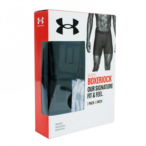 2PACK Мъжки боксерки Under Armour сиво (1363621 011)