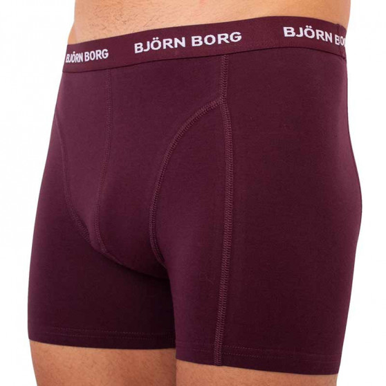 5PACK Мъжки боксерки Bjorn Borg многоцветен (2031-1041-81421)