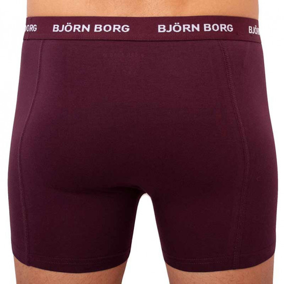 5PACK Мъжки боксерки Bjorn Borg многоцветен (2031-1041-81421)