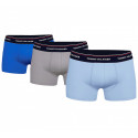 3PACK Мъжки боксерки Tommy Hilfiger многоцветен (1U87903842 0T1)