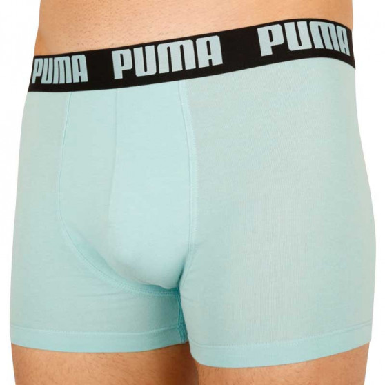 2PACK Мъжки боксерки Puma многоцветен (100001139 001)