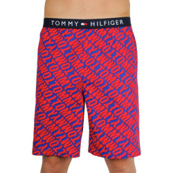 Мъжки къси панталони Tommy Hilfiger многоцветен (UM0UM01765 0NX)