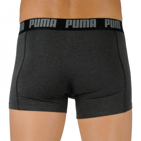 2PACK Мъжки боксерки Puma многоцветен (601015001 011)