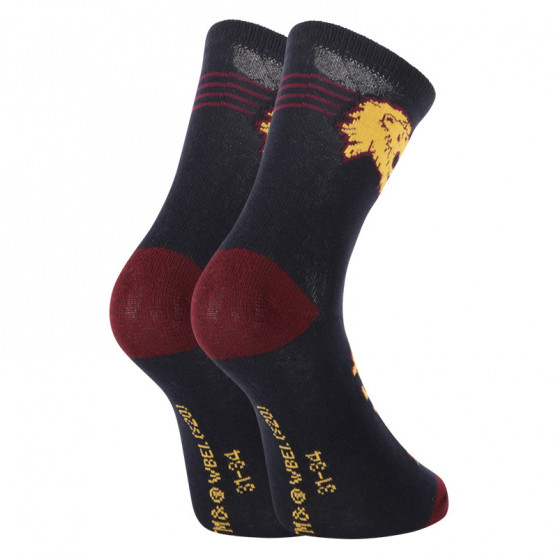 2PACK Детски чорапи E plus M Хари Потър многоцветен (GRYFFINDOR-A)