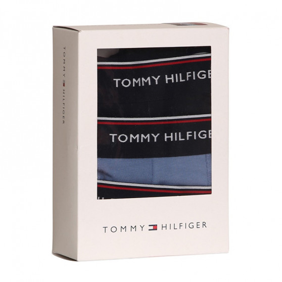 3PACK Мъжки боксерки Tommy Hilfiger многоцветен (1U87903842 0TU)