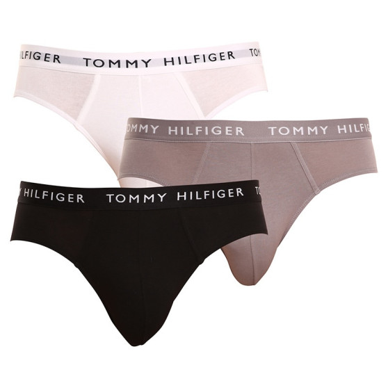 3PACK Мъжки слипове Tommy Hilfiger многоцветен (UM0UM02206 0TG)