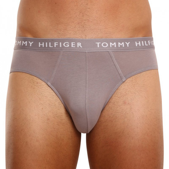 3PACK Мъжки слипове Tommy Hilfiger многоцветен (UM0UM02206 0TG)