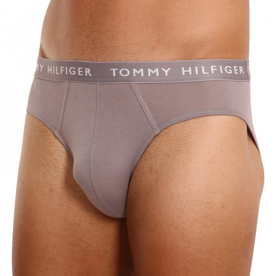 3PACK Мъжки слипове Tommy Hilfiger многоцветен (UM0UM02206 0TG)