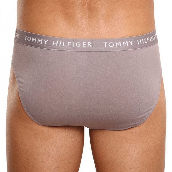 3PACK Мъжки слипове Tommy Hilfiger многоцветен (UM0UM02206 0TG)