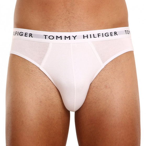 3PACK Мъжки слипове Tommy Hilfiger многоцветен (UM0UM02206 0TG)