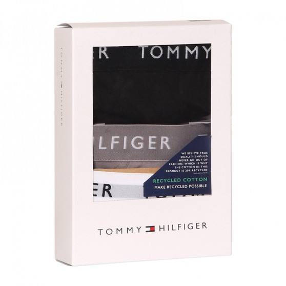 3PACK Мъжки слипове Tommy Hilfiger многоцветен (UM0UM02206 0TG)