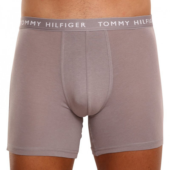 3PACK Мъжки боксерки Tommy Hilfiger многоцветен (UM0UM02204 0TG)