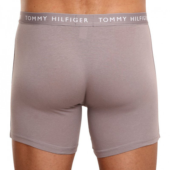 3PACK Мъжки боксерки Tommy Hilfiger многоцветен (UM0UM02204 0TG)