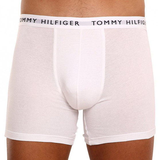 3PACK Мъжки боксерки Tommy Hilfiger многоцветен (UM0UM02204 0TG)