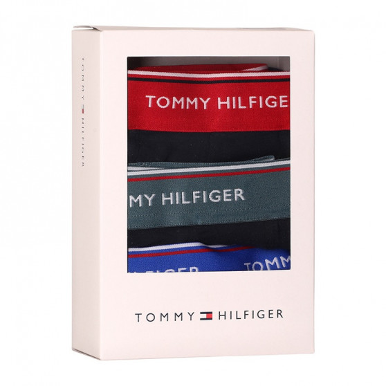 3PACK Мъжки боксерки Tommy Hilfiger тъмно синьо (UM0UM01642 0SN)