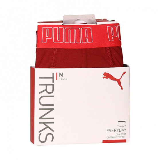 2PACK Мъжки боксерки Puma многоцветен (100000884 045)