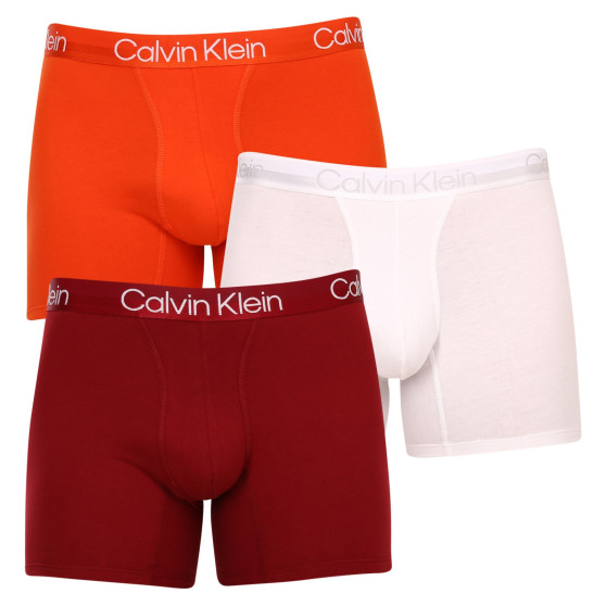 3PACK Мъжки боксерки Calvin Klein многоцветен (NB2971A-6IN)