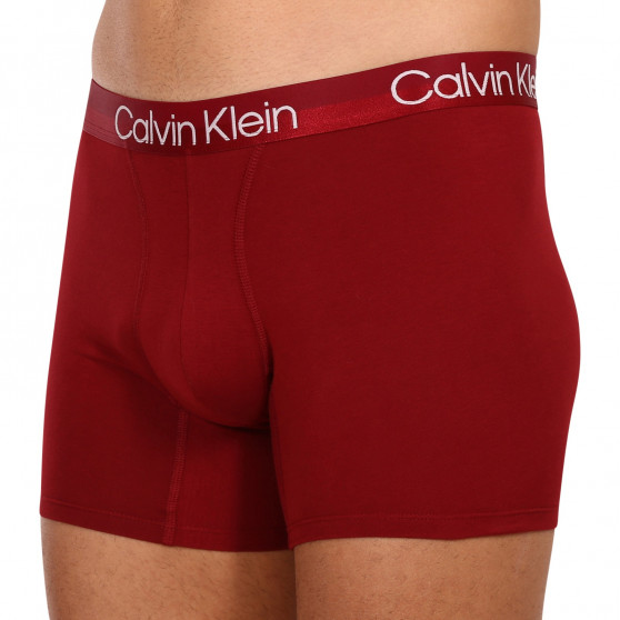 3PACK Мъжки боксерки Calvin Klein многоцветен (NB2971A-6IN)