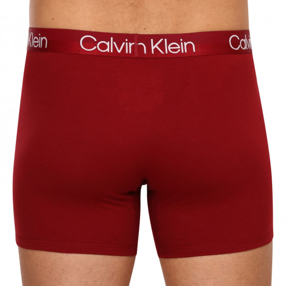 3PACK Мъжки боксерки Calvin Klein многоцветен (NB2971A-6IN)