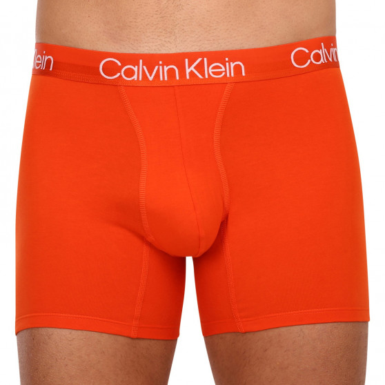 3PACK Мъжки боксерки Calvin Klein многоцветен (NB2971A-6IN)