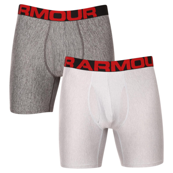 2PACK Мъжки боксерки Under Armour сиво (1363619 011)