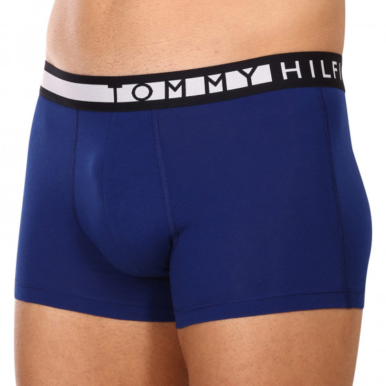 3PACK Мъжки боксерки Tommy Hilfiger многоцветен (UM0UM02202 0TW)