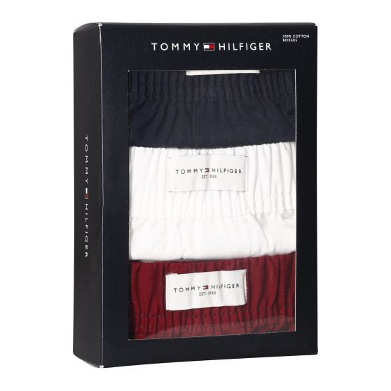 3PACK Мъжки боксерки Tommy Hilfiger многоцветен (UM0UM02848 0WE)