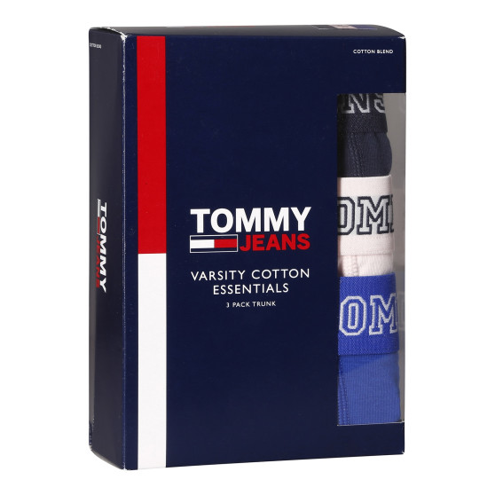 3PACK Мъжки боксерки Tommy Hilfiger многоцветен (UM0UM02850 0T8)