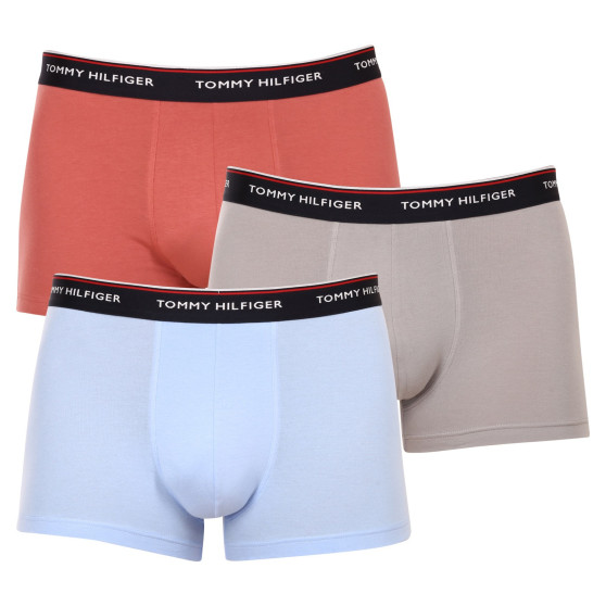 3PACK Мъжки боксерки Tommy Hilfiger многоцветен (1U87903842 0Y4)