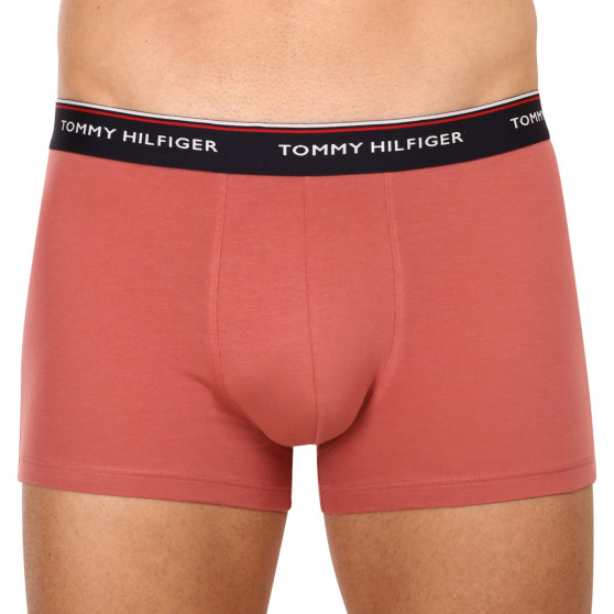 3PACK Мъжки боксерки Tommy Hilfiger многоцветен (1U87903842 0Y4)