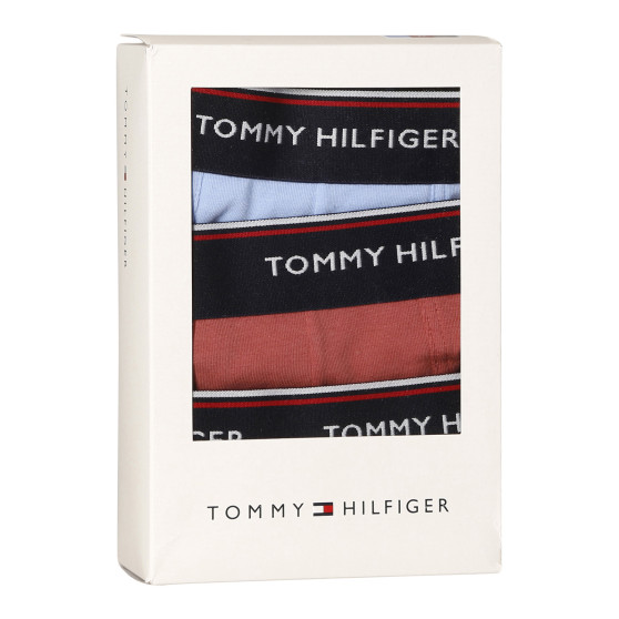 3PACK Мъжки боксерки Tommy Hilfiger многоцветен (1U87903842 0Y4)