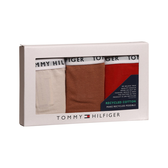 3PACK дамски бикини Tommy Hilfiger извънгабаритен multicolour (UW0UW04023 0R2)