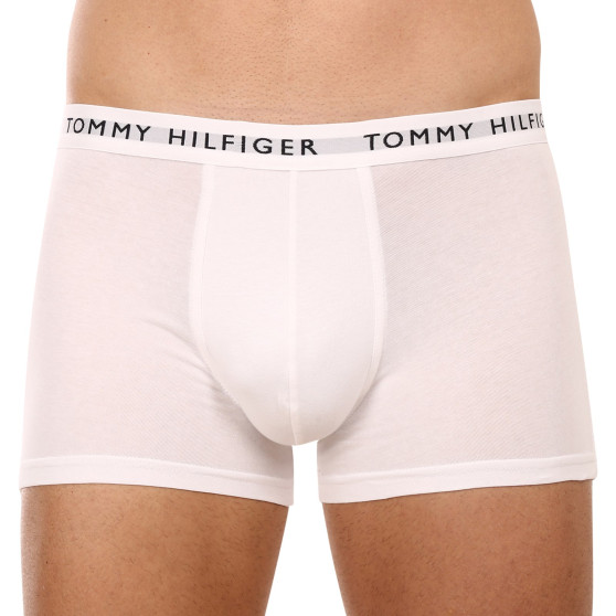 3PACK Мъжки боксерки Tommy Hilfiger многоцветен (UM0UM02203 0XK)