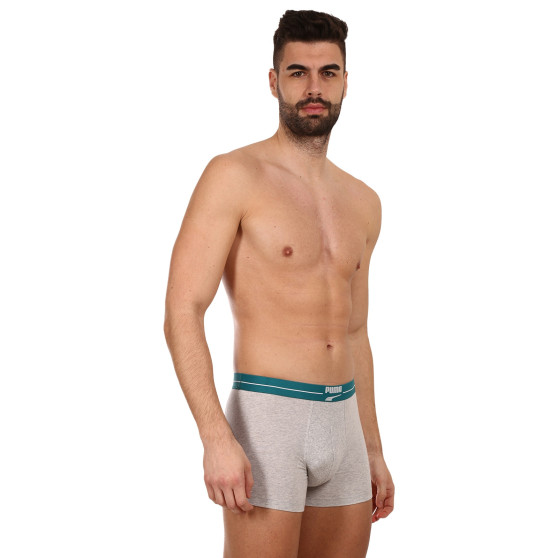 2PACK Мъжки боксерки Puma многоцветен (701221415 004)