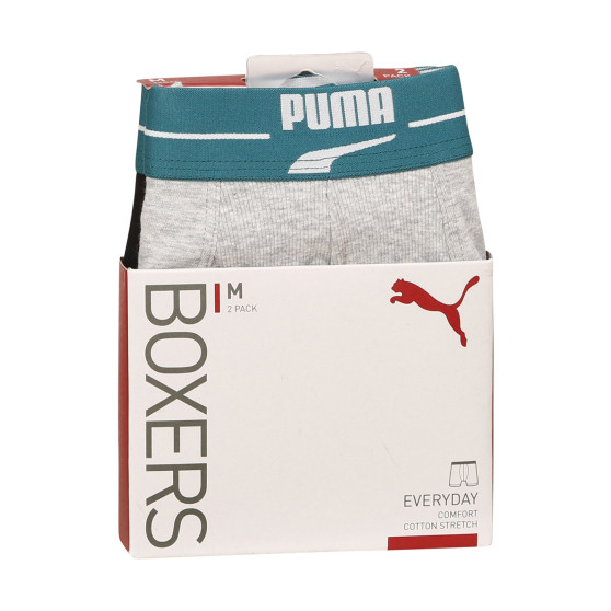 2PACK Мъжки боксерки Puma многоцветен (701221415 004)