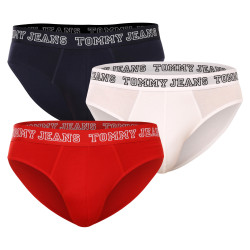 3PACK Мъжки слипове Tommy Hilfiger многоцветен (UM0UM02849 0T6)