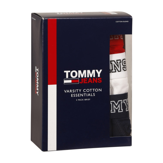 3PACK Мъжки слипове Tommy Hilfiger многоцветен (UM0UM02849 0T6)