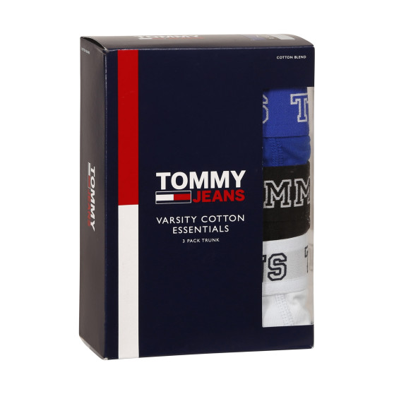 3PACK Мъжки боксерки Tommy Hilfiger многоцветен (UM0UM02850 0TV)