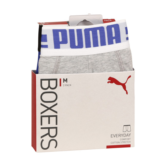 2PACK Мъжки боксерки Puma многоцветен (651003001 031)