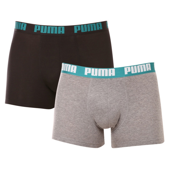 2PACK Мъжки боксерки Puma многоцветен (521015001 047)