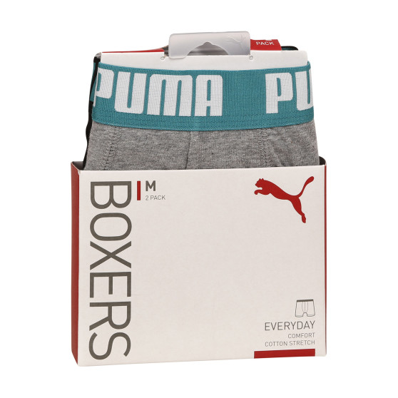 2PACK Мъжки боксерки Puma многоцветен (521015001 047)